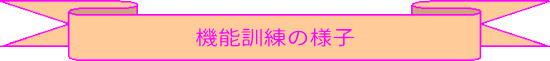 機能訓練の様子